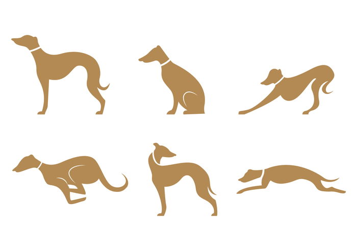700x490 Gold Brown Whippet Silhouette Vector