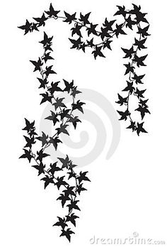 236x348 Ivy Vine Silhouette Pictures To Pin