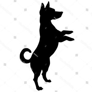 300x300 Jack Russell Terrier Vector Black Silhouette Ardiafm