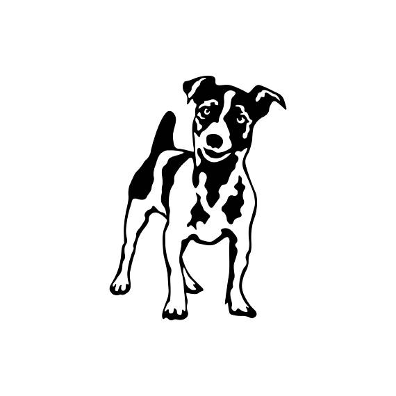 570x570 Jack Russell Terrier Dog Graphics Svg Dxf Eps Png Cdr Ai Pdf