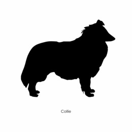 260x260 Picture It On Canvas