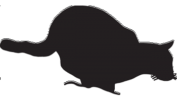 350x200 Jaguar Silhouette Decal