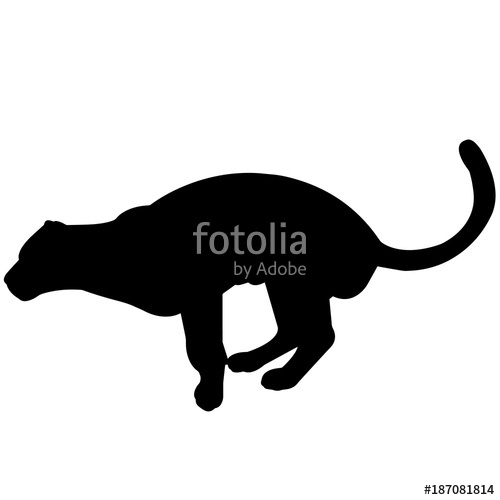 500x500 Jaguar Silhouette Vector Graphics Stock Image And Royalty Free