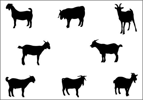 502x352 Dairy Goat Silhouette Vector