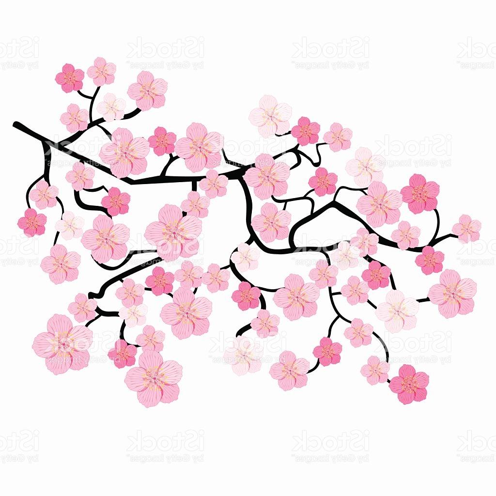 Japanese Cherry Blossom Silhouette at GetDrawings | Free download
