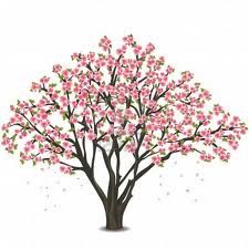 225x225 Cherry Blossom Tree Sketch
