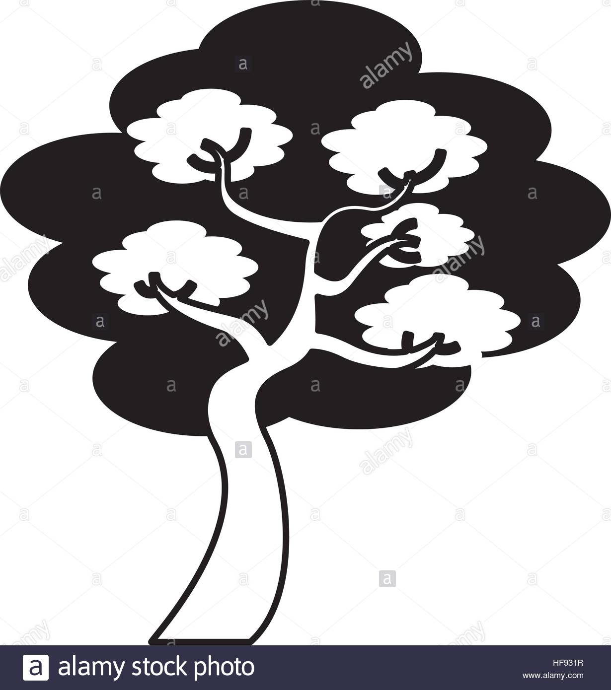 1230x1390 Bonsai Tree Silhouette Japanese Garden Stock Photos Amp Bonsai Tree