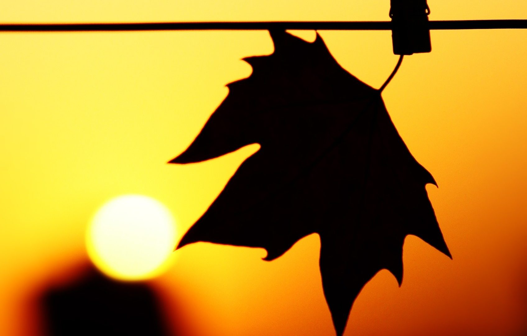 1695x1080 September 4, 2016 Wallpapers Fields Fire Grass Clouds Sky Sunsets