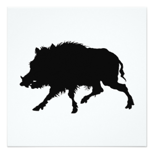 307x307 Wild Pig Cards