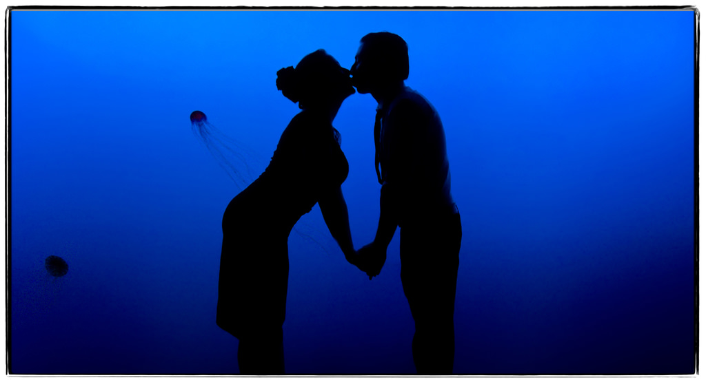 1024x555 Elevation Of Lighthouse Hill, Staten Island, Ny, Usa