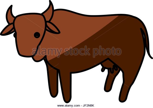 640x452 Cow Farm Cut Out Stock Images Amp Pictures