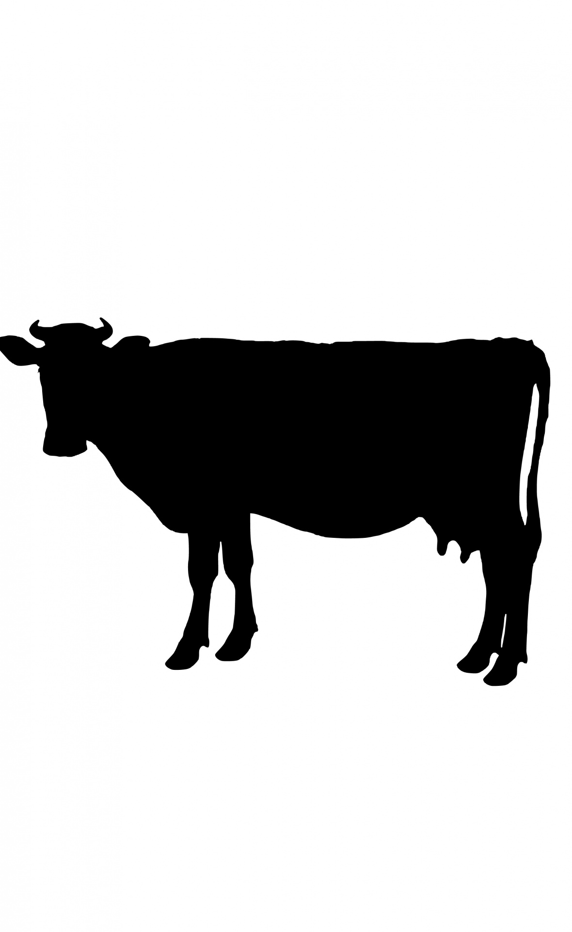 1180x1920 Cow Free Stock Photo