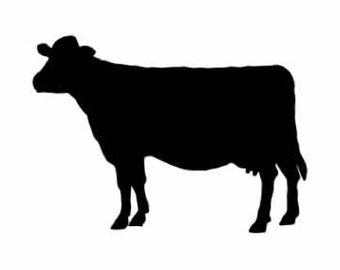 340x270 Cow Vinyl Decal Etsy
