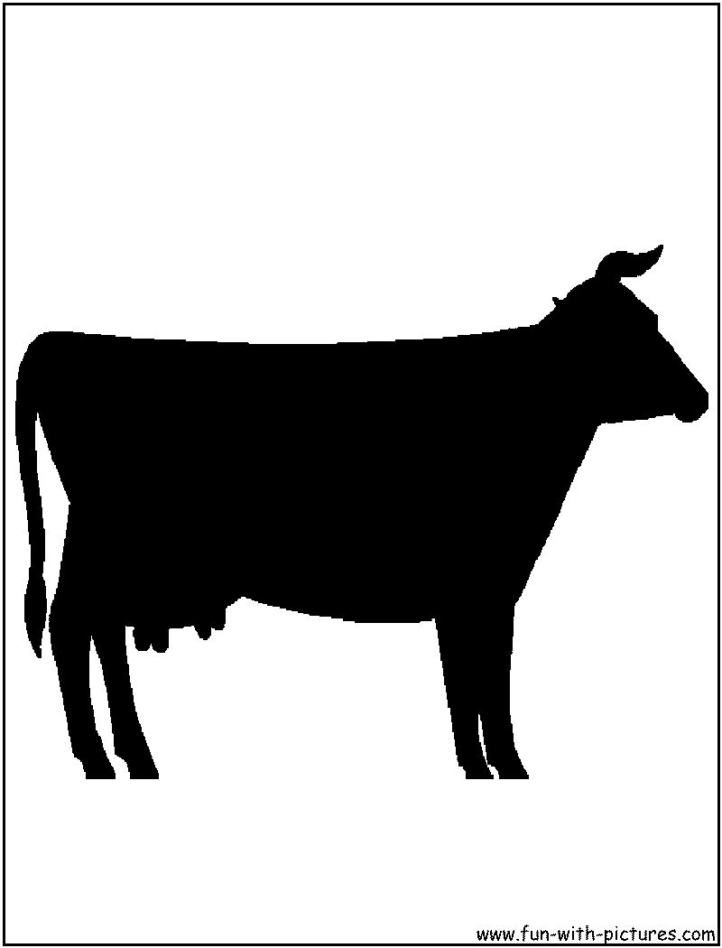 800x1050 Beef Cow Silhouette