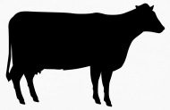 190x123 Cow By Libertad Spreadshirt