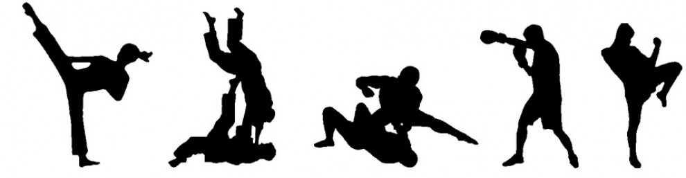 990x257 Cropped Icons Coyote Chronicle