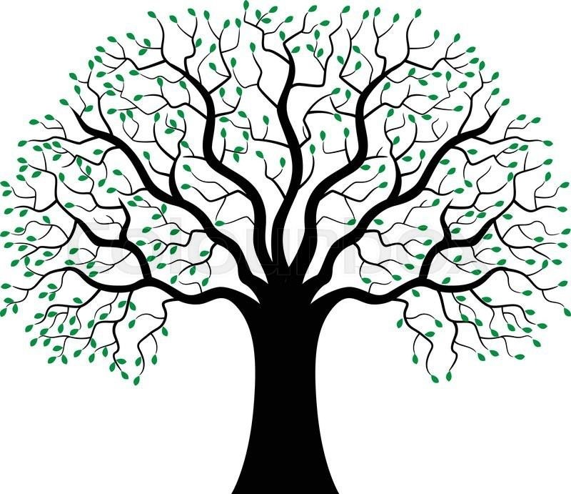800x691 Green Tree Silhouette Simple Living Tree In The World Places