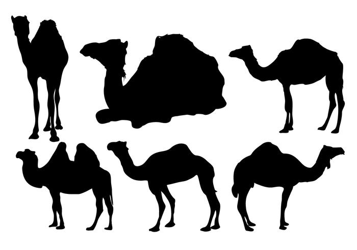 700x490 Free Camel Silhouette Vector