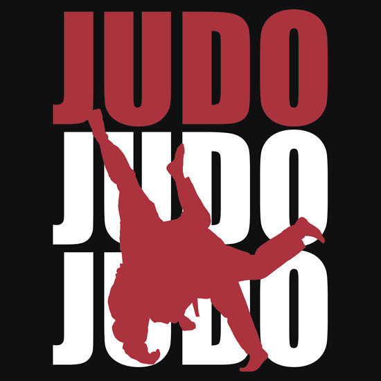 550x550 Tanuki Womens T Shirt Judo, Martial And Jiu Jitsu