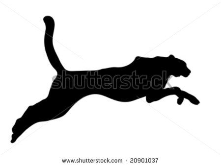 450x339 Cat Silhouette Stock Photos, Cat Silhouette Stock Photography, Cat
