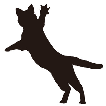 340x340 Free Cliparts Silhouette, Cat
