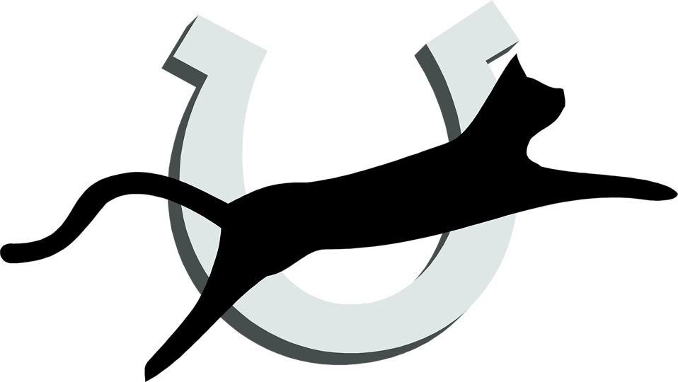 958x540 Luck Free Stock Photo Illustration Of Cat Jumping By