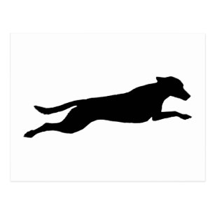 307x307 Flyball Silhouette Gifts On Zazzle