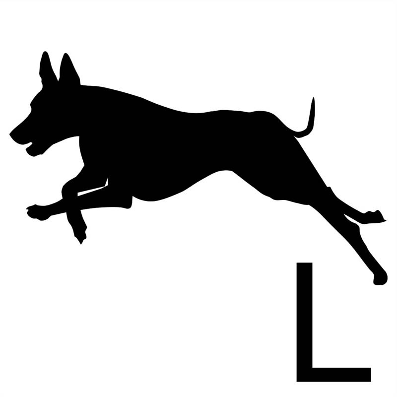 800x800 Sofa Dog Wear