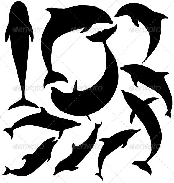 590x621 Dolphin Silhouette On White Background Silhouettes, Stenciling