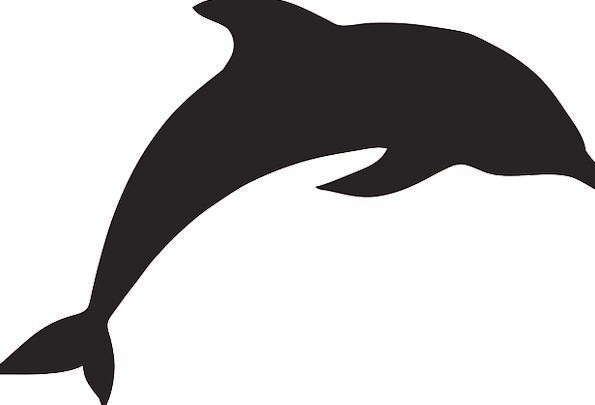 Jumping Dolphin Silhouette at GetDrawings | Free download