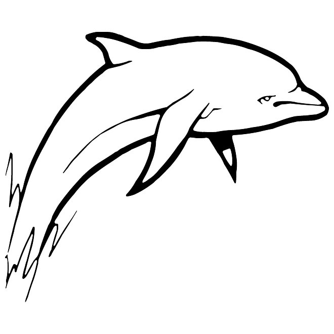 660x660 Jumping Dolphin Free Vector
