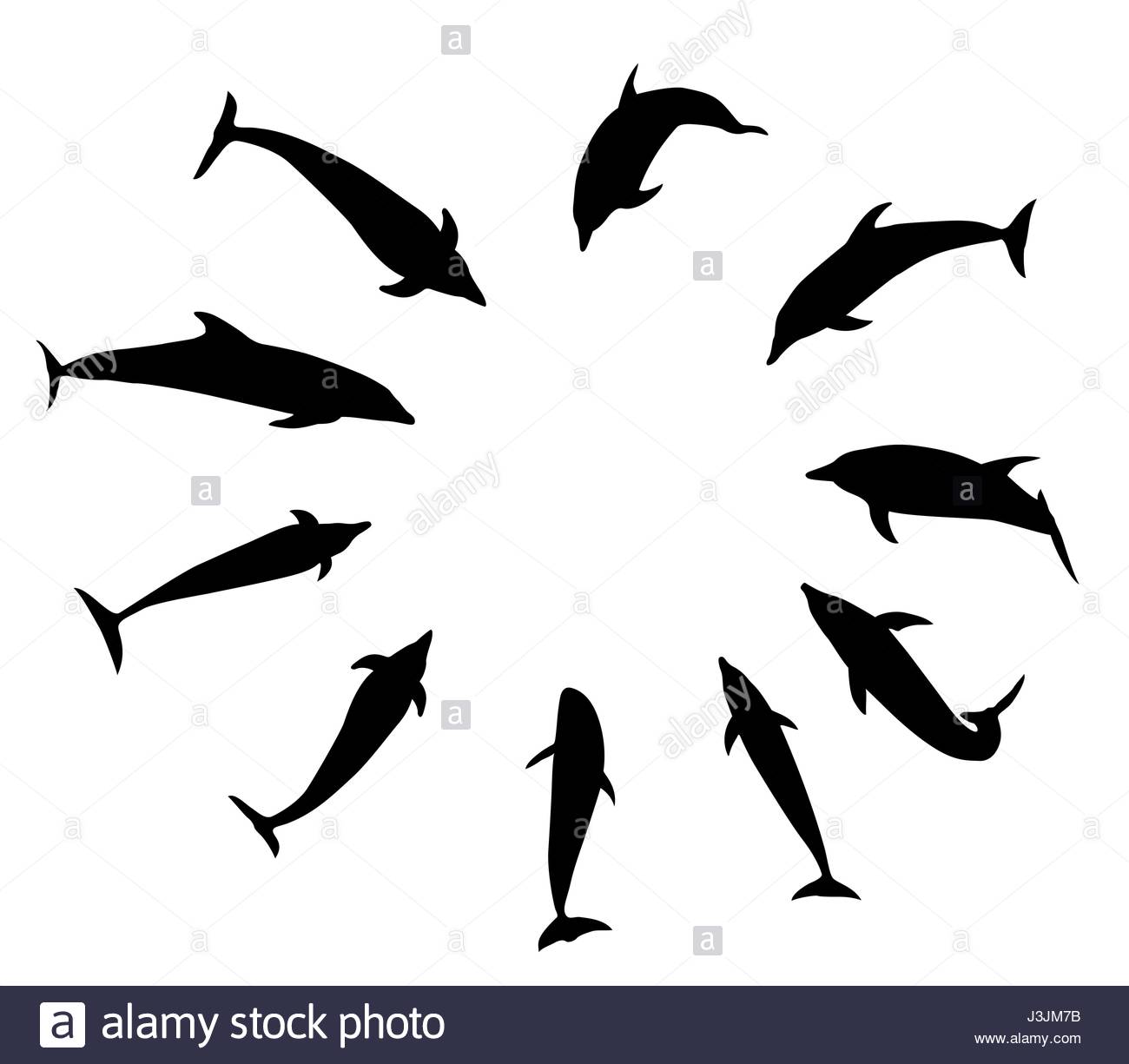1300x1225 Swim With Dolphins Cut Out Stock Images Amp Pictures