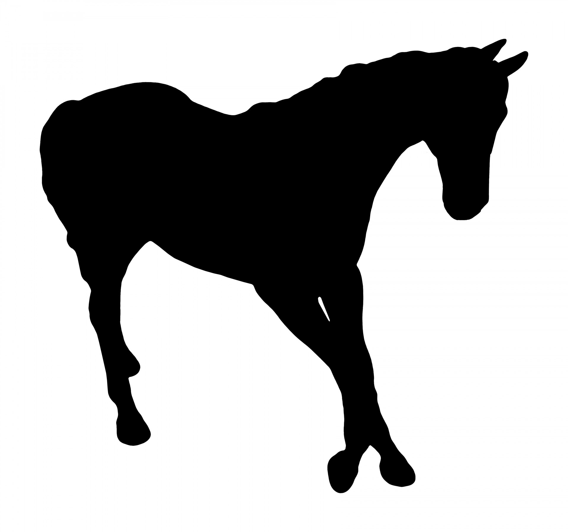 1920x1800 Horse Silhouette Free Stock Photo