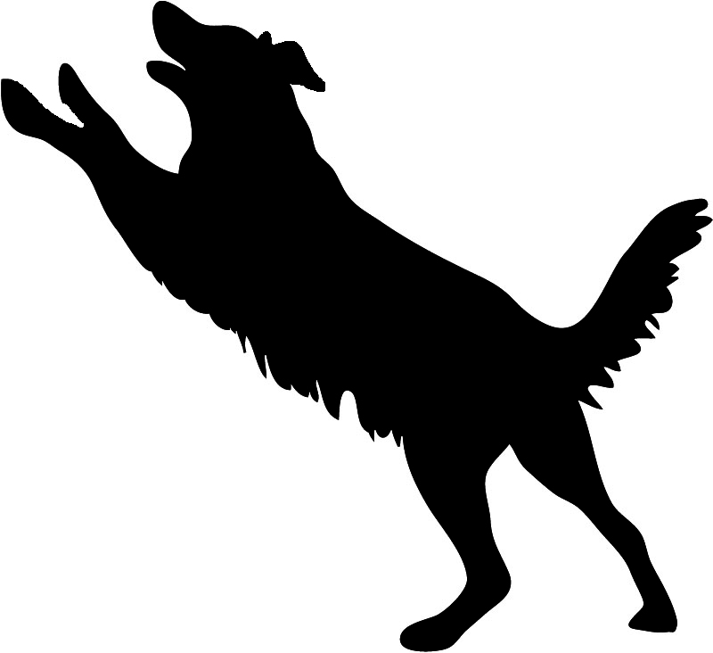 800x732 Jumping Dog Silhouette Clip Art