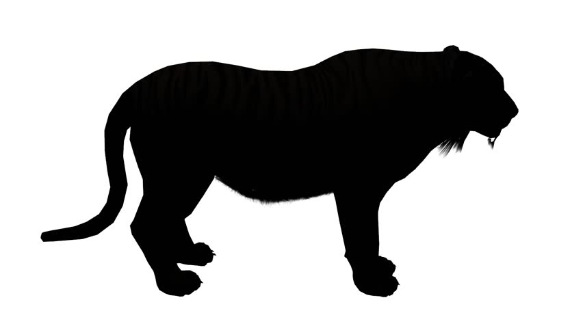 852x480 Tiger Running Sketch Silhouette,wildlife Animals Habitat. Cg 02098