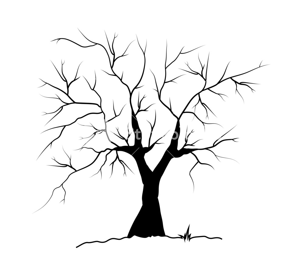 1000x889 Dead Tree Silhouette Royalty Free Stock Image