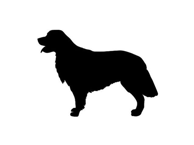 640x480 Quiz Can You Identify The Dog Breed By Its Silhouette