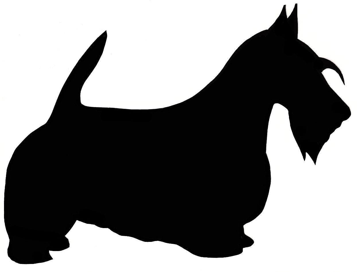 1244x947 Scottish Terrier
