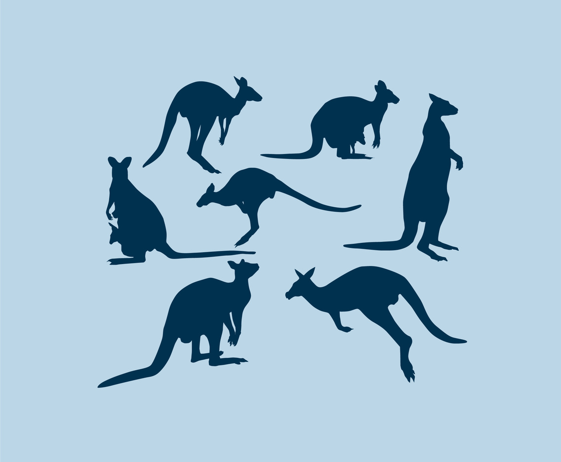 1136x936 Kangaroo Silhouette Vector Vector Art Amp Graphics