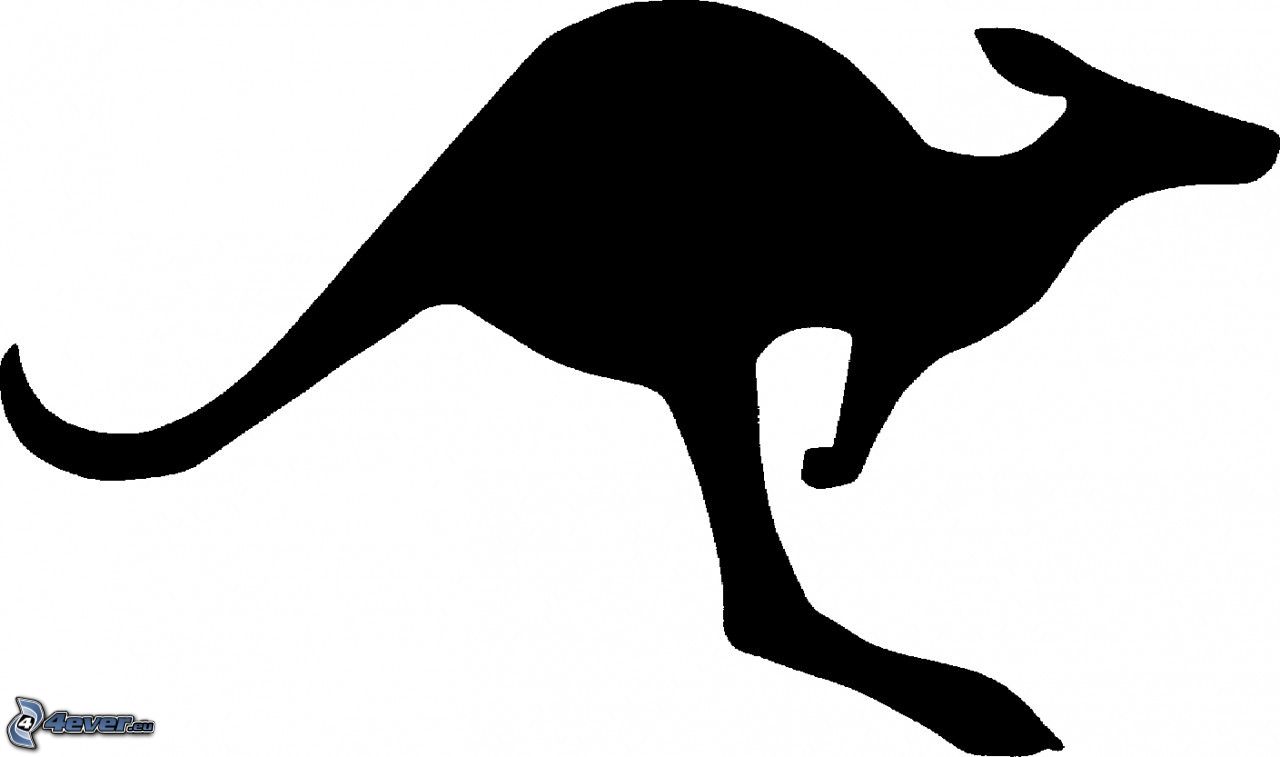 1280x757 Silhouette Of Kangaroo