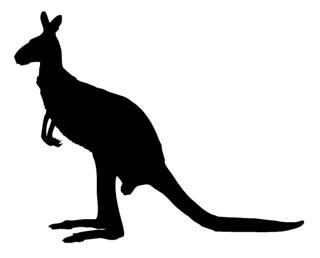 320x258 Kangaroo Silhouette 3 Decal Sticker
