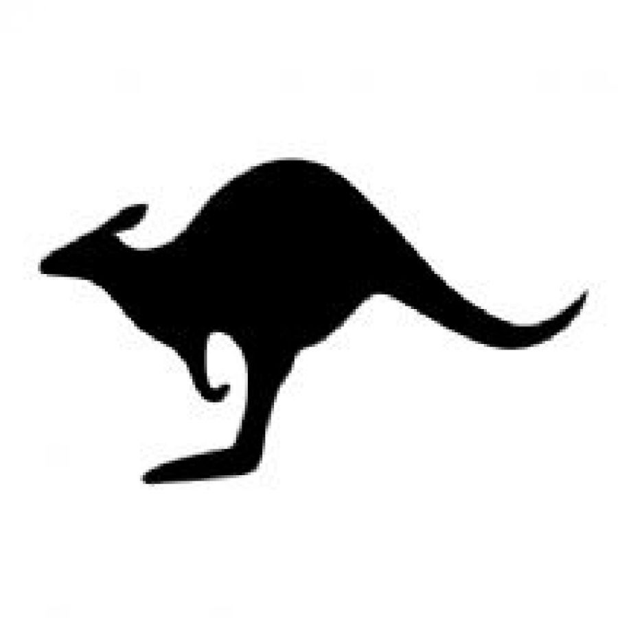 900x900 Kangaroo Cartoon Pictures Free Download Clip Art Free Clip Art