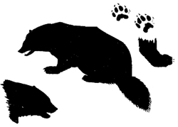 250x179 Vol 20, No 4