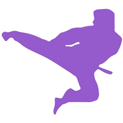425x425 Buy Karate Kick Silhouette Vinyl Sticker In Cheap Price