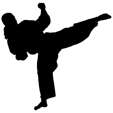 Karate Kid Silhouette at GetDrawings | Free download