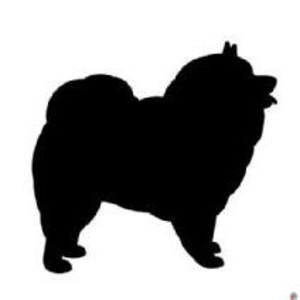 300x300 Keeshond Silhouette Mirror Image