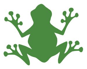 300x238 320 Best Frolicking Froggies Images On Frogs, Frog
