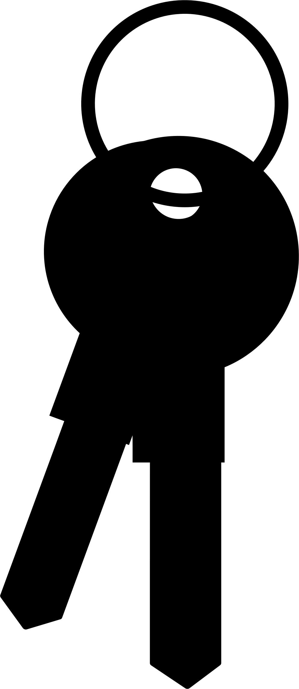 994x2290 Keys Silhouette Icons Png