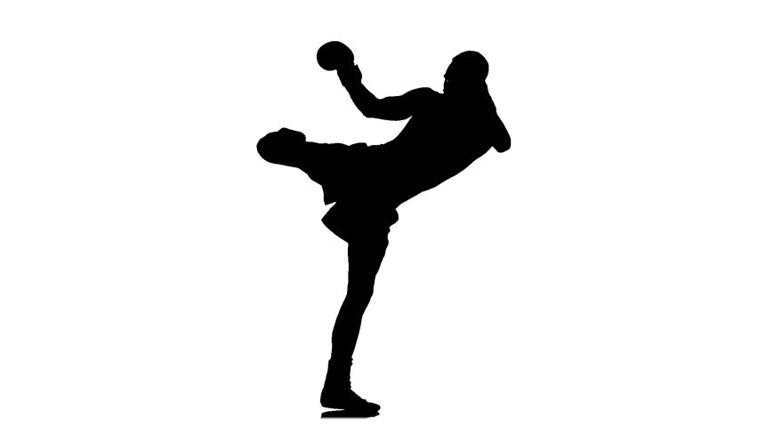 852x480 Kickboxer. Training Series Of Punches And Kicks Stock Footage