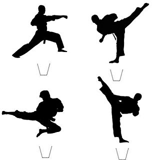 306x320 Martial Arts